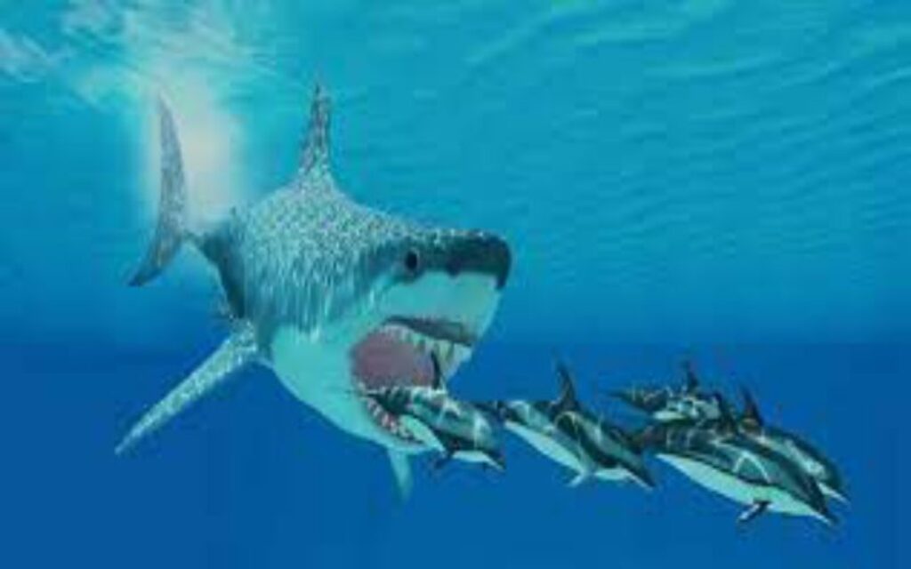 cá mập megalodon