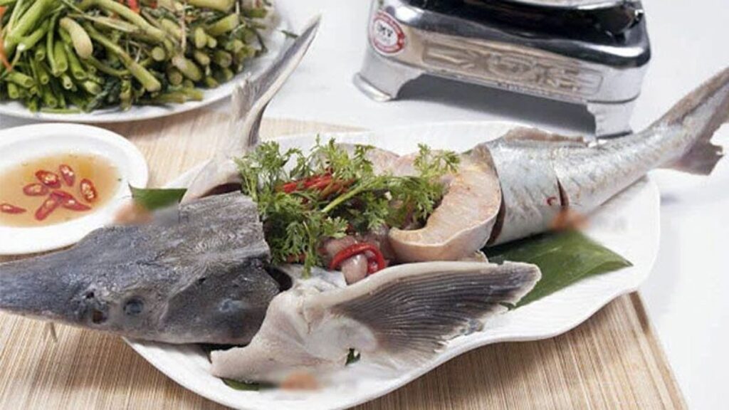 Cá tầm làm món gì? Công thức nấu món cá tầm siêu thơm ngon hấp dẫn