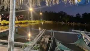 Hồ câu cá giải trí Út Lệ ở Bình Quới, Thanh Đa, Thành phố Hồ Chí Minh