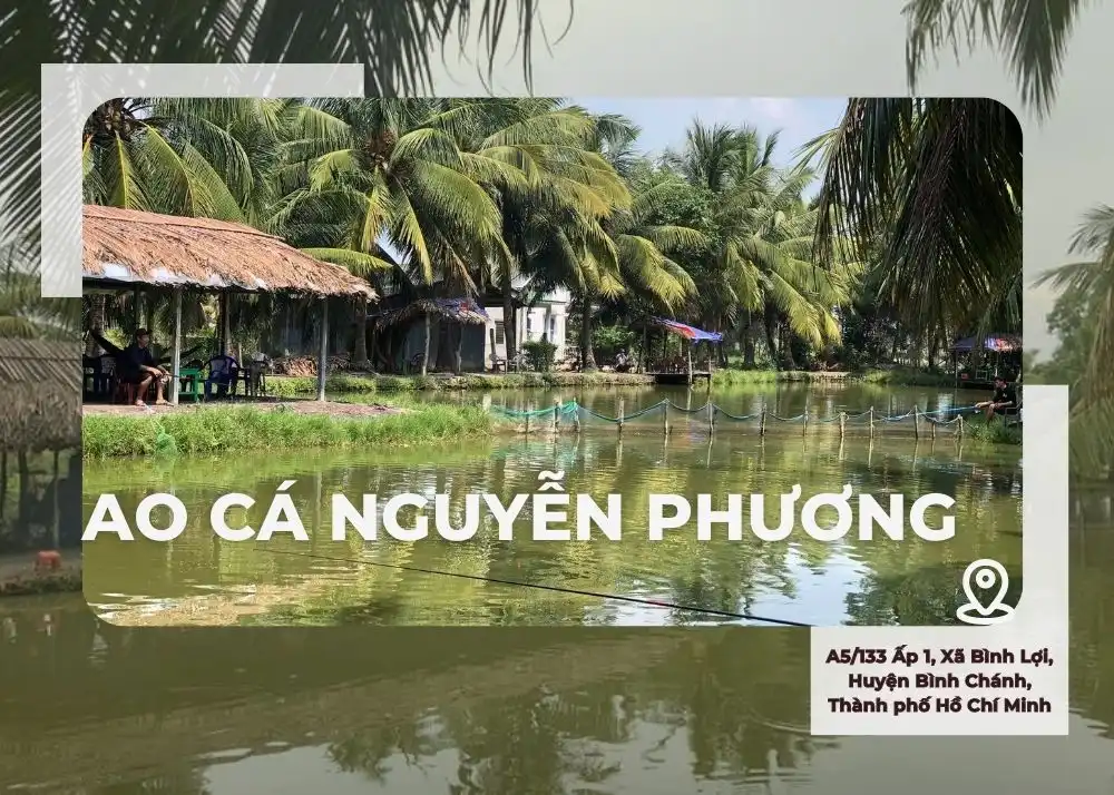 Ao cá Nguyễn Phương