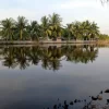 Hồ câu cá giải trí Lê Huỳnh
