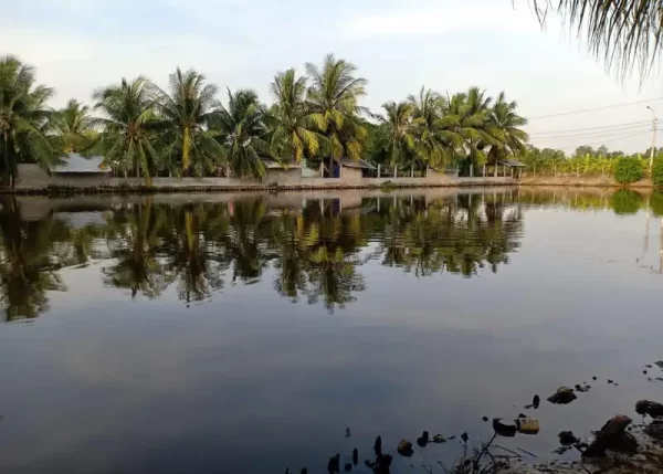 Hồ câu cá giải trí Lê Huỳnh