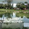hồ câu cá chép Thu Hồng Nguyễn