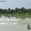 Hồ câu cá giải trí Minh Chủ Mì