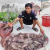 Hồ câu cá giải trí Kim Long - Bình Quới