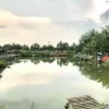 Hồ câu Trung Cá