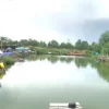 Hồ câu Trung Cá