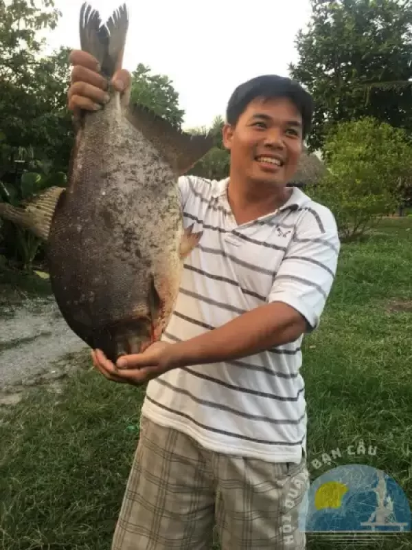 Hồ câu cá giải trí Vườn Dừa - Long Thành, Đồng Nai