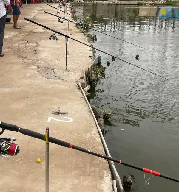 Hồ câu cá giải trí Khánh Ngọc